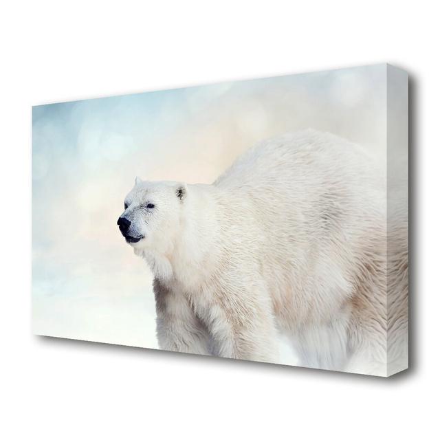 Polar Bear Wonder Wild Life - Wrapped Canvas Photograph Print East Urban Home Size: 101.6 cm H x 142.2 cm W on Productcaster.