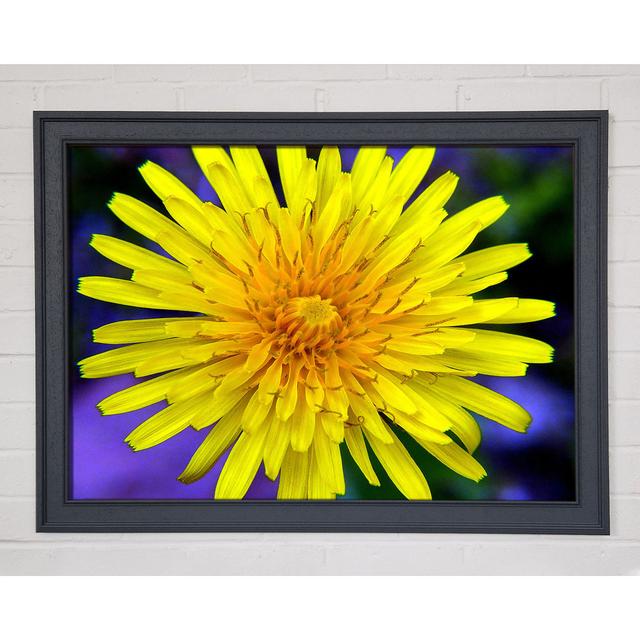 Yellow Wildflower - Single Picture Frame Art Prints Ebern Designs Size: 21cm H x 29.7cm W on Productcaster.