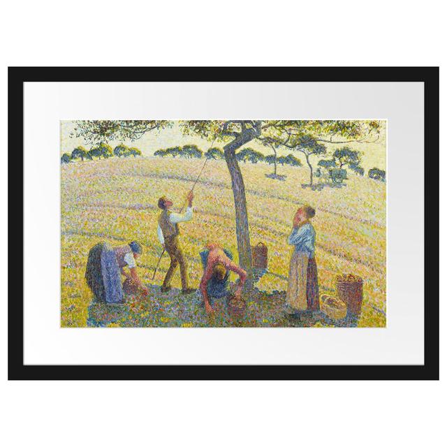 Gerahmtes Poster Apple Harvest von Camille Pissarro Rosalind Wheeler Maße: 40 cm H x 55 cm B x 2,5 cm T on Productcaster.