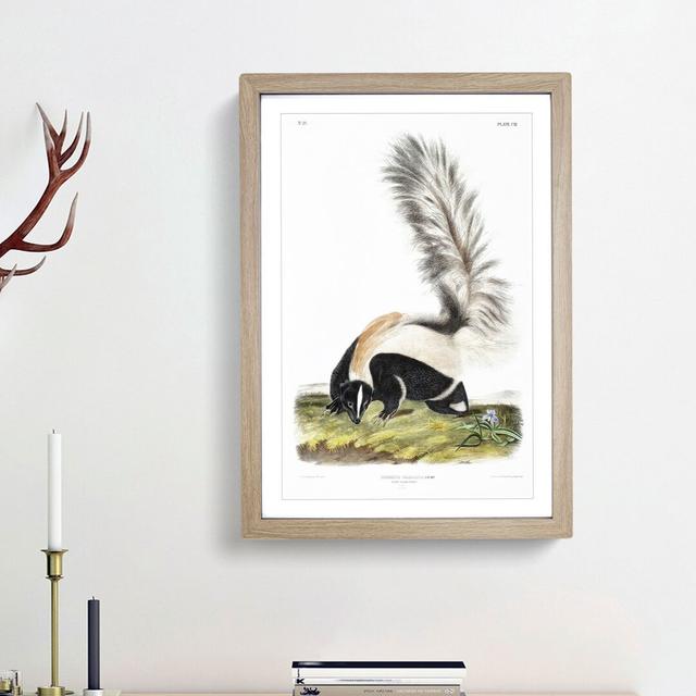 Large-Tailed Skunk by J.W. Audubon - Picture Frame Painting Print East Urban Home Frame Option: Oak Framed, Size: 36cm H x 27cm W x 2cm D on Productcaster.