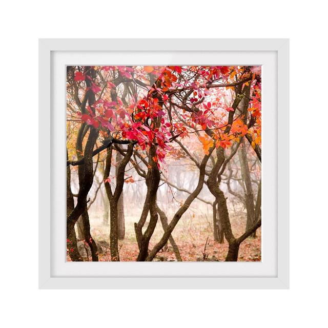 'Japan in Autumn' - Picture Frame Photograph Print on Paper East Urban Home Frame Option: Matt white, Size: 70cm H x 70cm W x 0.79cm D on Productcaster.