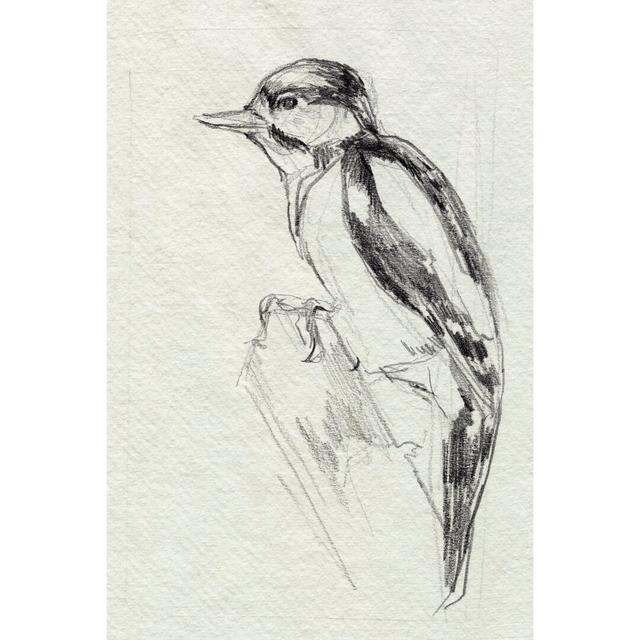 Woodpecker Sketch I by Jennifer Paxton Parker - Wrapped Canvas Drawing Rosalind Wheeler Size: 91cm H x 61cm W x 3.8cm D on Productcaster.