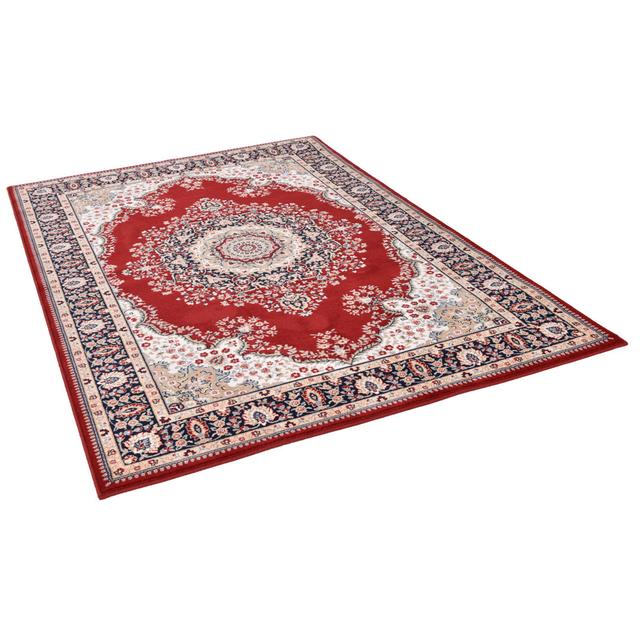 Oriental Machine Woven Area Rug Theko Rug Size: Rectangular 133cm x 190cm on Productcaster.