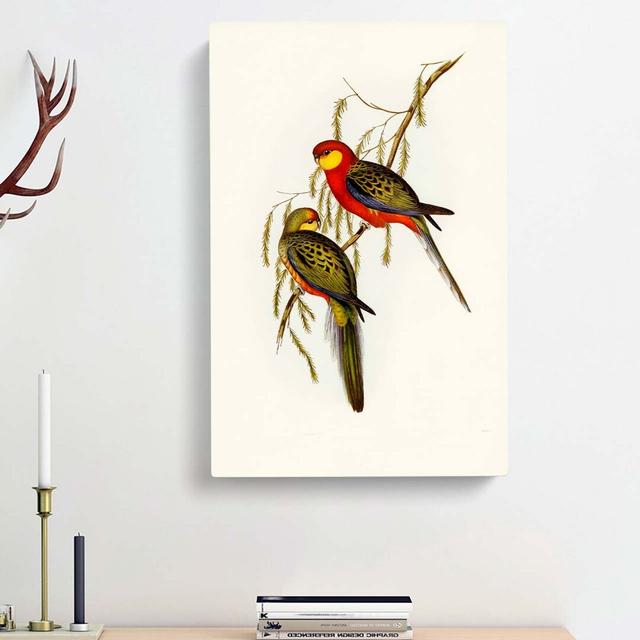 Earl of Derby's Parakeets by R.J. Thornton - Wrapped Canvas Painting Print East Urban Home Size: 50cm H x 35cm W x 3cm D on Productcaster.