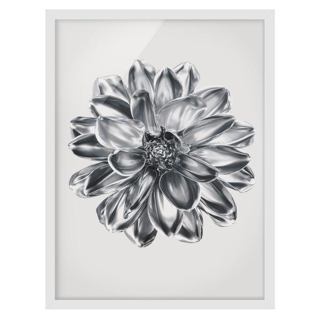 Dahlia Flower Silver Metallic - Picture Frame Graphic Art Ebern Designs Frame Option: White Framed, Size: 100cm H x 70cm W x 2cm D on Productcaster.