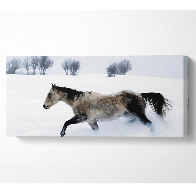 Stallion In The Snow - Wrapped Canvas Art Prints Union Rustic Size: 81.3cm H x 183cm W x 10cm D on Productcaster.