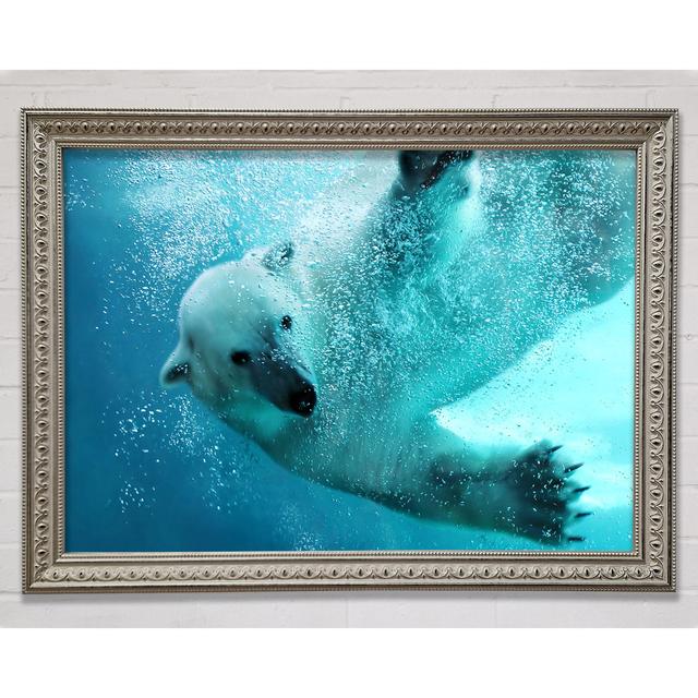 Polar Bear Swim Framed Print Highland Dunes Size: 84.1cm H x 118.9cm W on Productcaster.