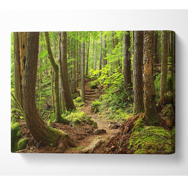 Green up Hill Forest Walk - Wrapped Canvas Photograph Alpen Home Size: 35.6cm H x 50.8cm W on Productcaster.