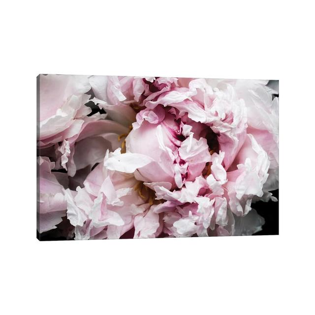 Pink Peony Passion II by Irena Orlov - Wrapped Canvas Print ClassicLiving Size: 30.48cm H x 45.72cm W 1.91cm D on Productcaster.