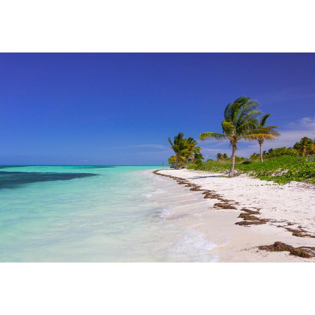 Caribbean Beach In Cuba House of Hampton Size: 20cm H x 30cm W x 3.8cm D on Productcaster.