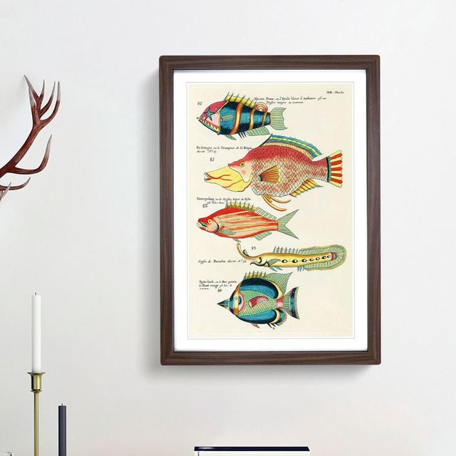 East Indies Fish Illustrations XVII by Louis Renard - Picture Frame Graphic Art Print East Urban Home Size: 36cm H x 27cm W x 2cm D, Frame Option: Wal on Productcaster.