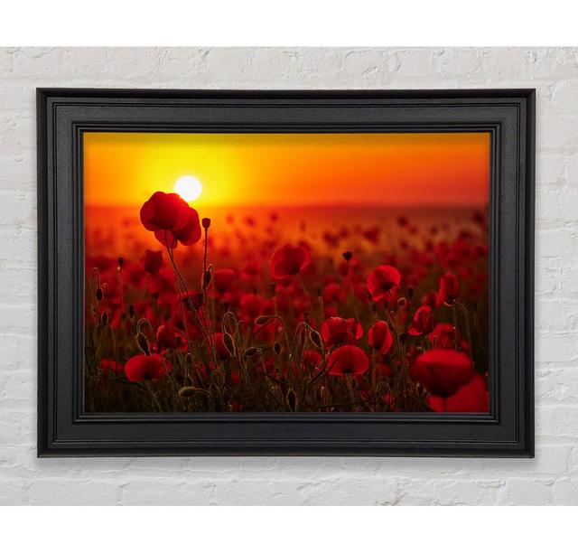 Poppies In The Sunset Reds - Print Ebern Designs Size: 84.1cm H x 142.2cm W x 8cm D on Productcaster.