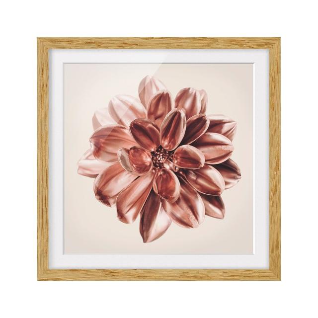 Dahlia Rosegold Pink Centered - Picture Frame Graphic Art Ebern Designs Frame Option: Brown Framed, Size: 50cm H x 50cm W x 2cm D on Productcaster.