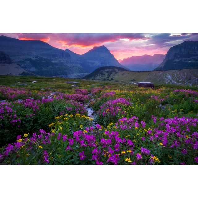 Glacier National Park - Meadow In Bloom Going To The Sun Ebern Designs Size: 51cm H x 76cm W on Productcaster.