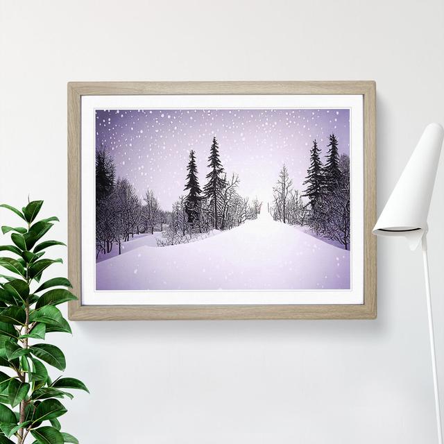 Pine Tree Forest Winter Vol.6 - Single Picture Frame Print Alpen Home Size: 46cm H x 64cm W x 2cm D, Format: Oak Framed on Productcaster.