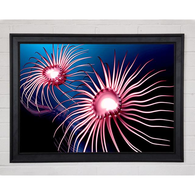 Jellyfish Swirl Framed Print Highland Dunes Size: 29.7cm H x 42cm W x 1.5cm D on Productcaster.