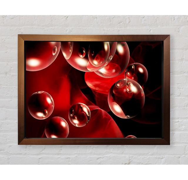 Malteser Delight - Single Picture Frame Art Prints Ebern Designs Size: 59.7cm H x 84.1cm W on Productcaster.