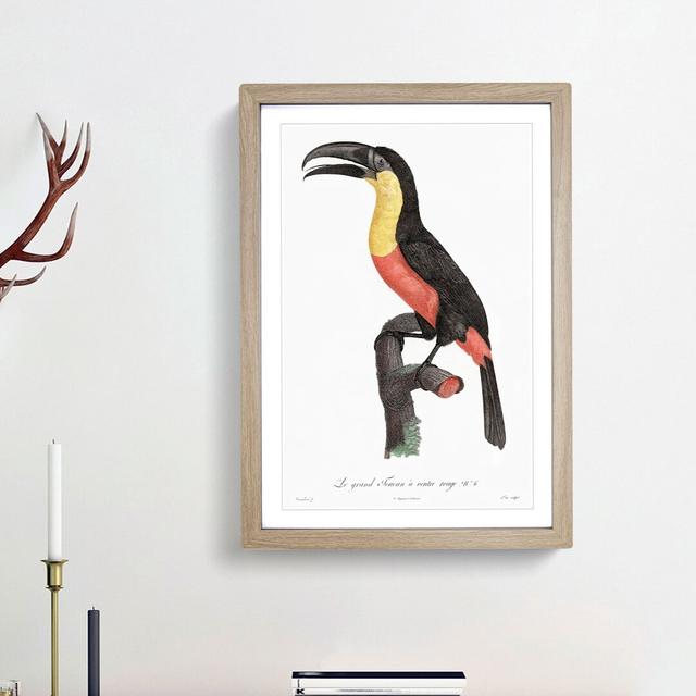 Yellow-Breasted Toucan by Jacques Barraband - Picture Frame Graphic Art Print East Urban Home Size: 36cm H x 27cm W x 2cm D, Frame Option: Oak Framed on Productcaster.