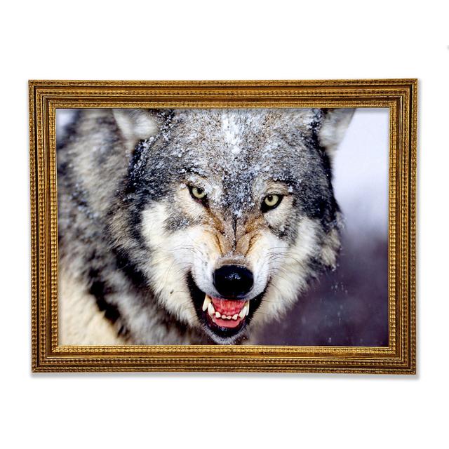 Knurrender Grauer Wolf - Druck Union Rustic Größe: 42cm H x 59,7cm B x 3cm T on Productcaster.