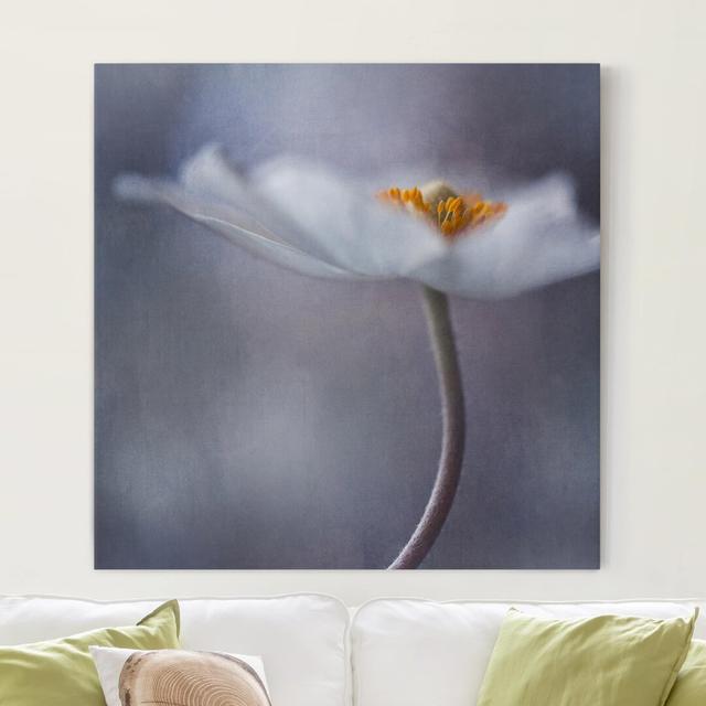 Leinwandbild White Anemone Flower East Urban Home Größe: 70 cm L x 70 cm B on Productcaster.