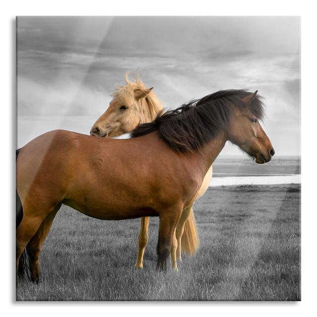 Two Horses in a Meadow - Unframed Photograph on Glass August Grove Size: 70cm H x 70cm W x 0.4cm D on Productcaster.