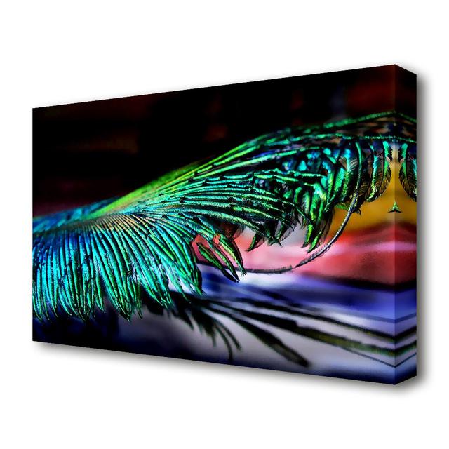 'Psychedelic FeaThers Landscape' Photographic Print on Canvas East Urban Home Size: 81.3 cm H x 121.9 cm W on Productcaster.