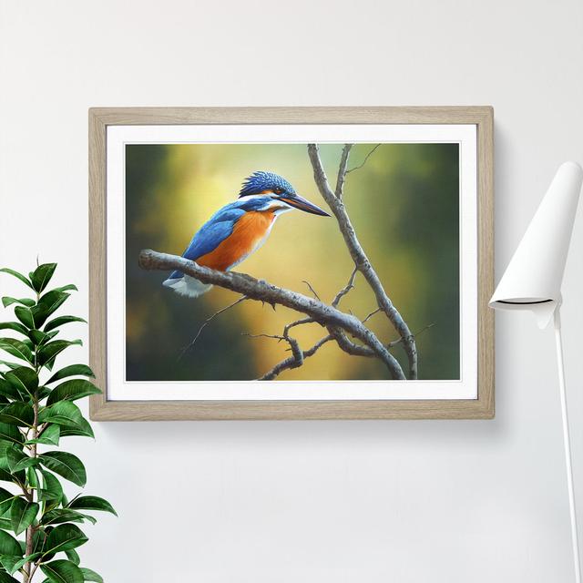 Cool Kingfisher Bird - Single Picture Frame Print ClassicLiving Size: 34cm H x 46cm W x 2cm D, Frame Colour: Oak on Productcaster.