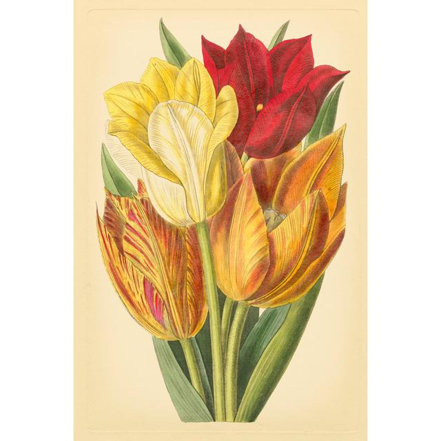 Tulip Array II by Vision Studio - Wrapped Canvas Art Prints Marlow Home Co. Size: 76cm H x 51cm W x 3.8cm D on Productcaster.