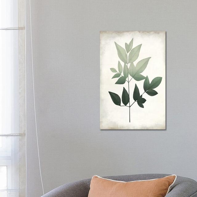 Vintage Botanical Greens II by Kimberly Allen - Wrapped Canvas Wrapped Canvas ClassicLiving Size: 66.04cm H x 66.04cm W on Productcaster.