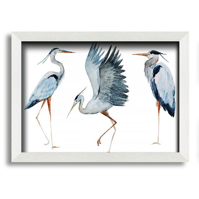 Heron Trio Framed Print Wall Art House of Hampton Size: 29.7cm H x 42cm W x 10cm D, Format: White Framed Paper on Productcaster.