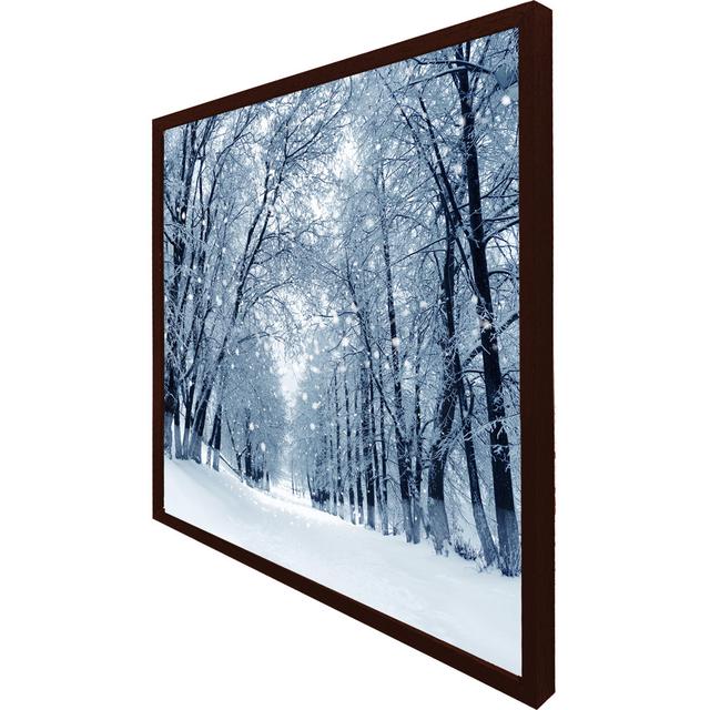 Collyer Snowstorm In Park - Single Picture Frame Art Prints Alpen Home Size: 31cm H x 31cm W x 4cm D, Frame Colour: Brown on Productcaster.