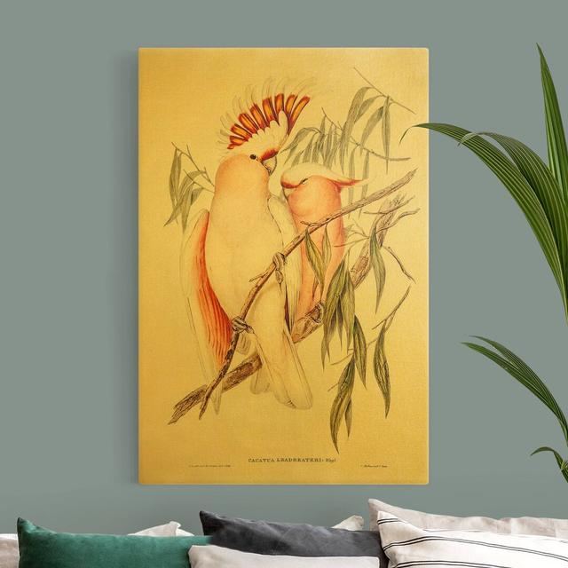 Vintage Illustration of a Pink Cockatoo - Wrapped Canvas Graphic Art Bay Isle Home Size: 60cm H x 40cm W on Productcaster.