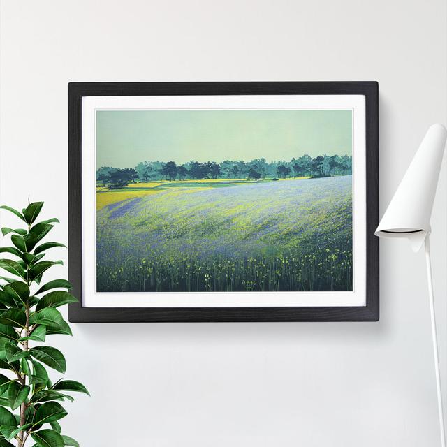 Thrilling Bluebell Field - Picture Frame Marlow Home Co. Size: 34cm H x 46cm W x 2cm D, Frame Colour: Black Framed on Productcaster.