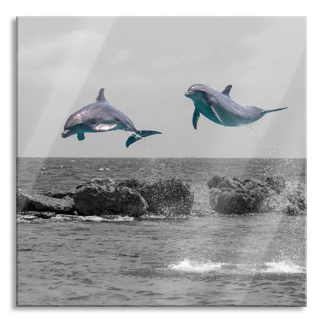 Two Dolphins Jumping High - Unframed Photograph on Glass Highland Dunes Size: 60cm H x 60cm W x 0.4cm D on Productcaster.