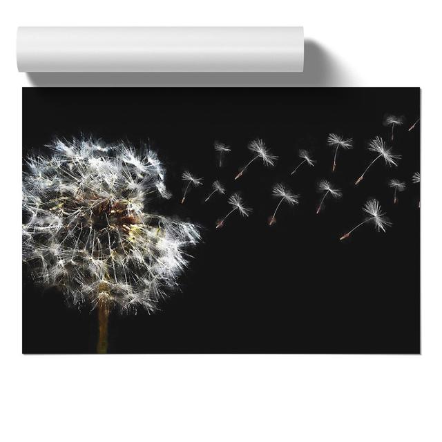 Dandelion Seeds Vol.10 - No Frame Print East Urban Home Size: 30cm H x 42cm W x 0.1cm D on Productcaster.