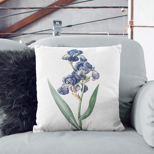 Dalmatian Iris by Pierre-Joseph Redoute Cushion with Filling East Urban Home Size: 55cm H x 55cm W x 20cm D, Backing Colour: Black on Productcaster.