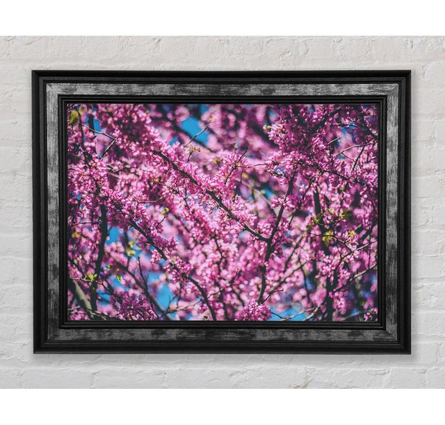 Tree Blossom Flowers On A Blue Sky - Single Picture Frame Art Prints Ebern Designs Size: 42cm H x 59.7cm W x 8cm D on Productcaster.