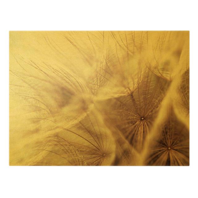 Detailed Dandelion Macro Shot with Vintage Blur Effect - Wrapped Canvas Graphic Art Ebern Designs Colour: Yellow, Size: 60cm H x 80cm W on Productcaster.