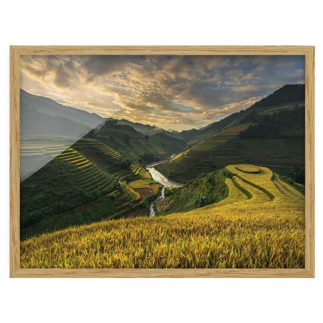 Rice Plantations in Vietnam - Picture Frame Photograph Union Rustic Size: 40cm H x 55cm W x 2cm D, Frame Option: Brown Framed on Productcaster.