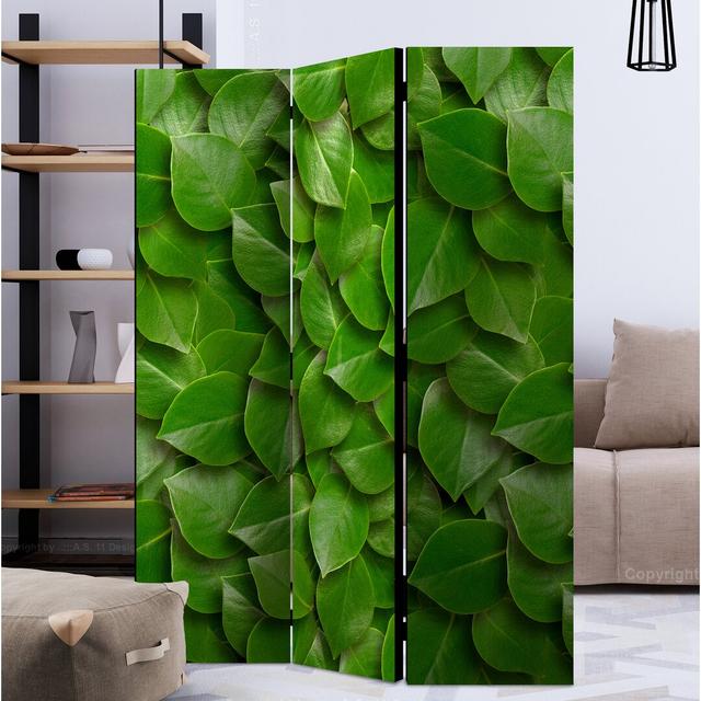 Mayweather 172cm H Solid Wood Folding Room Divider Ebern Designs Colour: Green, Number of Panels: 3 on Productcaster.