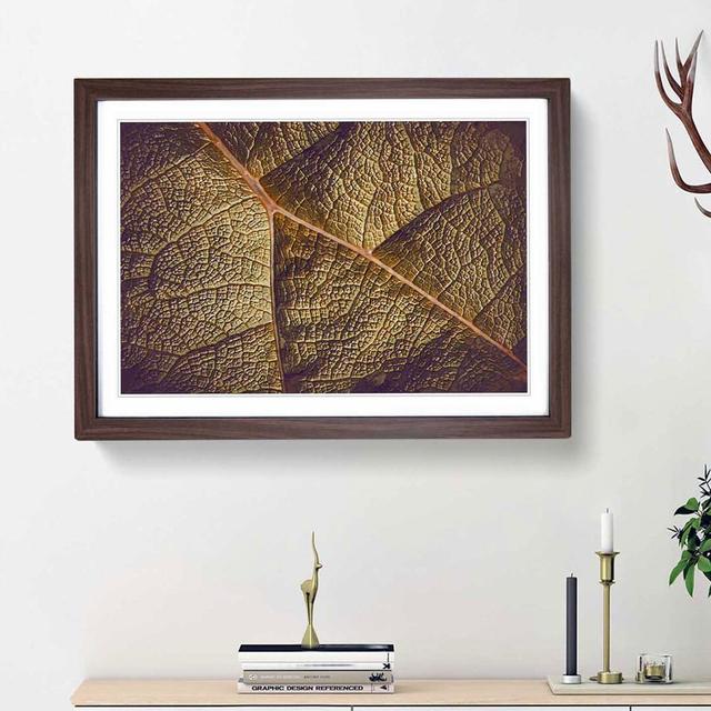 Paths of the Leaf - Picture Frame Photograph Print East Urban Home Frame Option: Walnut Framed, Size: 36cm H x 48cm W x 2cm D on Productcaster.