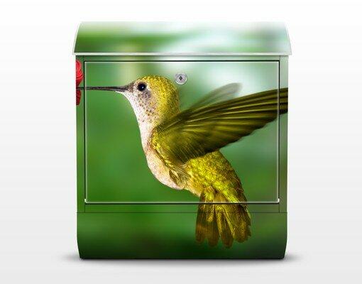 Kolibri und Bläte Letterbox with Newspaper Holder Happy Larry on Productcaster.