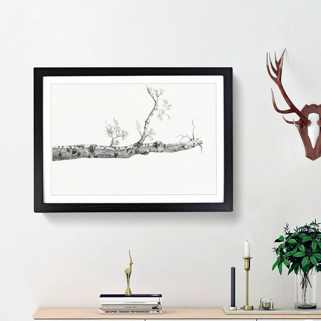 Study of a Tree by Jean Bernard - Picture Frame Drawing Print East Urban Home Frame Option: Black Framed, Size: 27cm H x 36cm W x 2cm D on Productcaster.