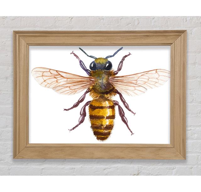 Watercolour Bee - Print Bright Star Size: 42cm H x 59.7cm W x 8cm D on Productcaster.