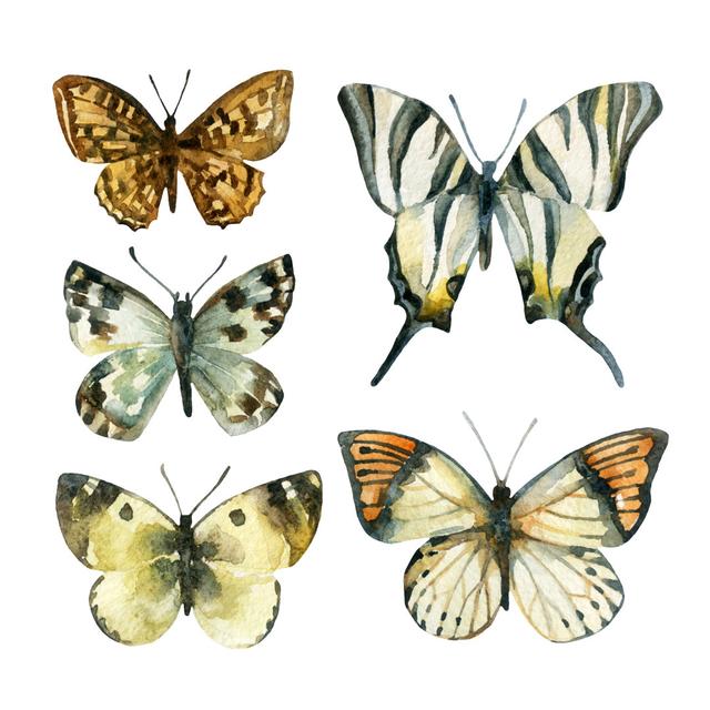 Watercolour Butterfly Set - Wrapped Canvas Painting August Grove Size: 76cm H x 76cm W on Productcaster.