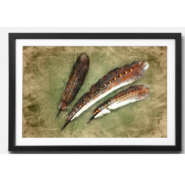 'Feather of Pheasan' - Picture Frame Graphic Art Print on Paper Latitude Vive Size: 44cm H x 64cm W x 2.2cm D on Productcaster.