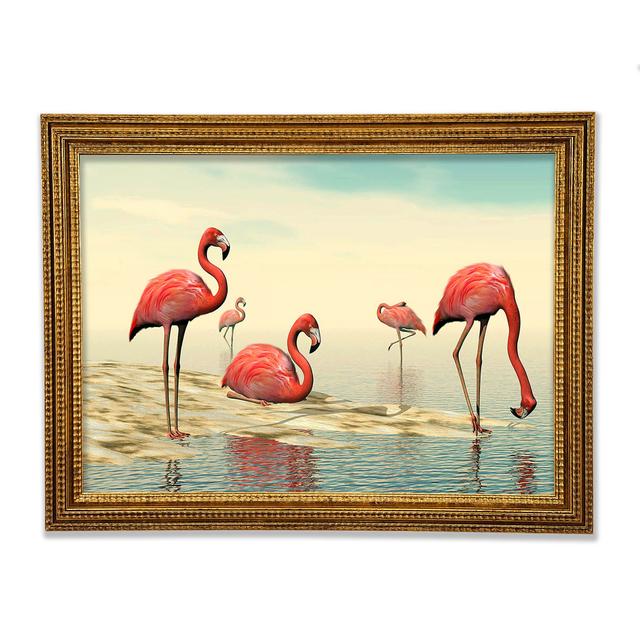 Rosa Flamingo beim Baden - Einzelner Bilderrahmen Kunstdrucke Sansibar Home Größe: 84,1 cm H x 118,9 cm B on Productcaster.