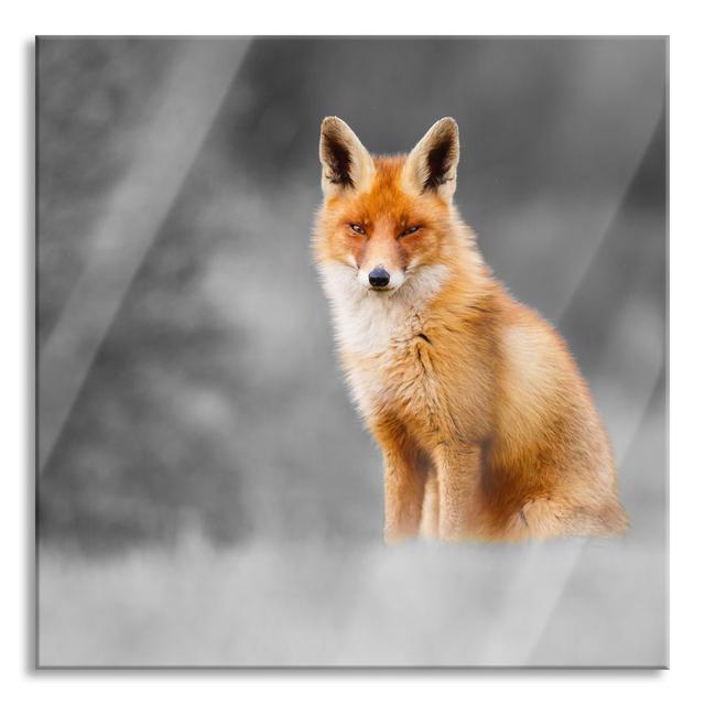 Magnificent Fox - Unframed Photograph on Glass Union Rustic Size: 80cm H x 80cm W x 0.4cm D on Productcaster.