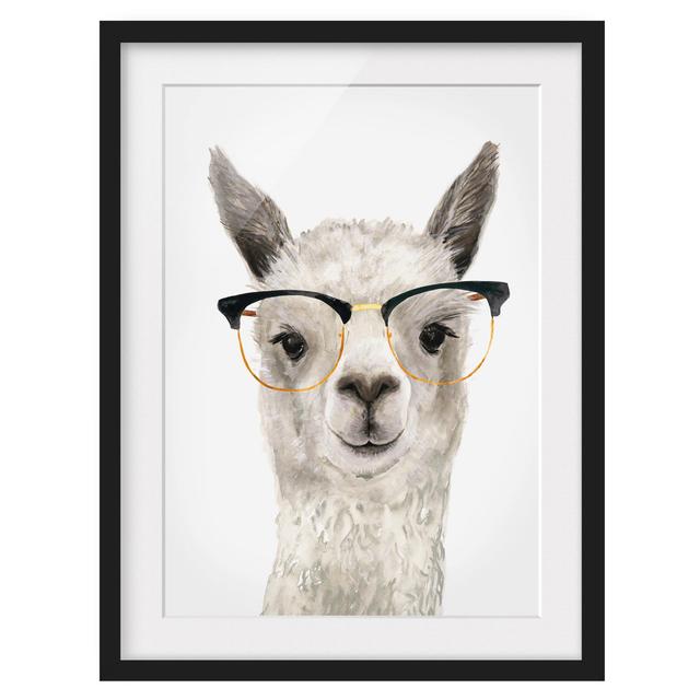 Picture With Frame - Hip Llama With Glasses I - Portrait 4:3 Maturi Size: 100cm H x 70cm W x 2cm D, Frame Option: Black on Productcaster.