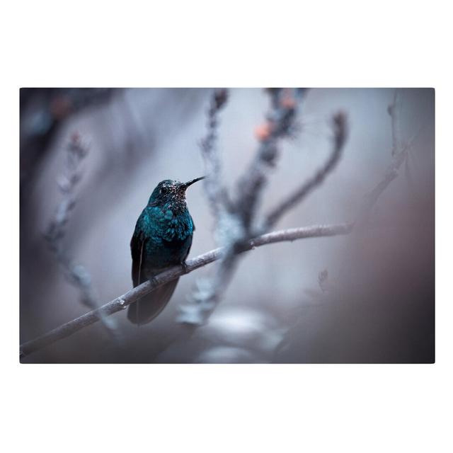 Hummingbird in Winter - Wrapped Canvas Graphic Art Print East Urban Home Size: 40cm L x 60cm W on Productcaster.